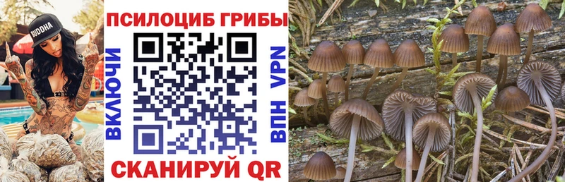 наркошоп  Малоярославец  Галлюциногенные грибы мухоморы 