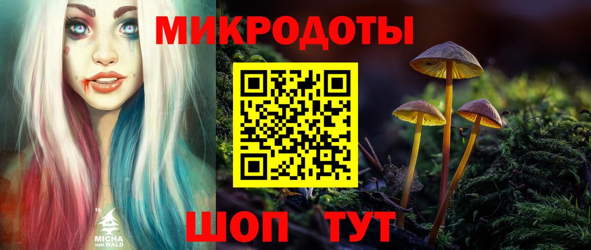 Галлюциногенные грибы Psilocybe Малоярославец