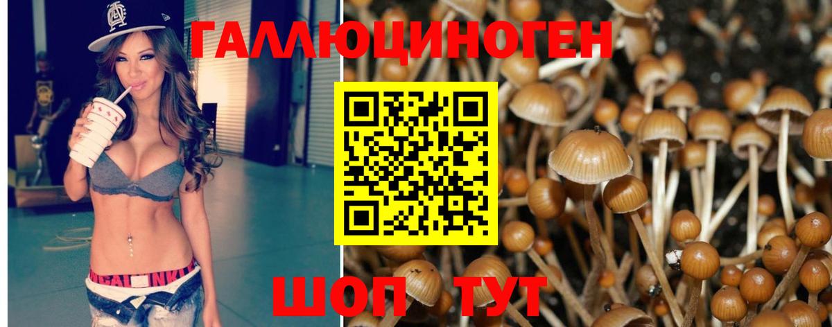 Галлюциногенные грибы Psilocybine cubensis  Вход с VPN  Псилоцибиновые грибы мухоморы  Малоярославец 