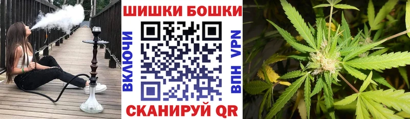 блэк спрут ссылки Малоярославец Канабис White Widow