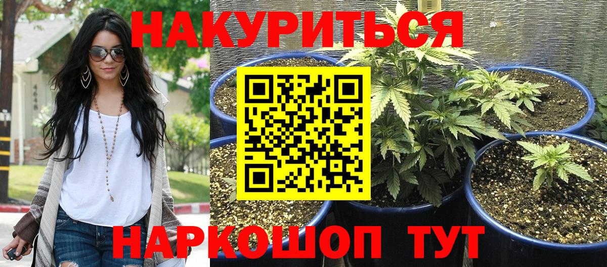 Марихуана Amnesia Малоярославец